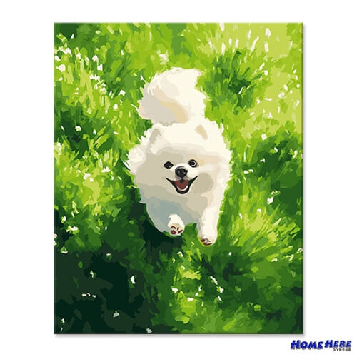 數字油畫 博美 春日小白球
